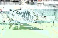scann 490.jpg