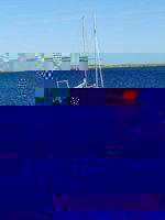 10473384_635460936574551_6911929902357624352_n.jpg