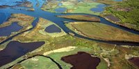 les-patrimoines-culturel-et-naturel-du-delta-de-la-leyre-seront-exposes-demain.jpg (60.3 Kio) Consulté 13807 fois les-patrimoines-culturel-et-naturel-du-delta-de-la-leyre-seront-exposes-demain.jpg