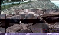 20973_101456896550662_171637_n.jpg